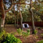 Nowy sezon, nowy ogród. Jakie rozwiązania dodadzą mu blasku?